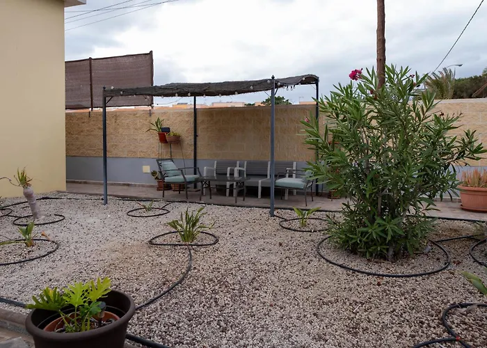 Tinizara Arona (Tenerife)